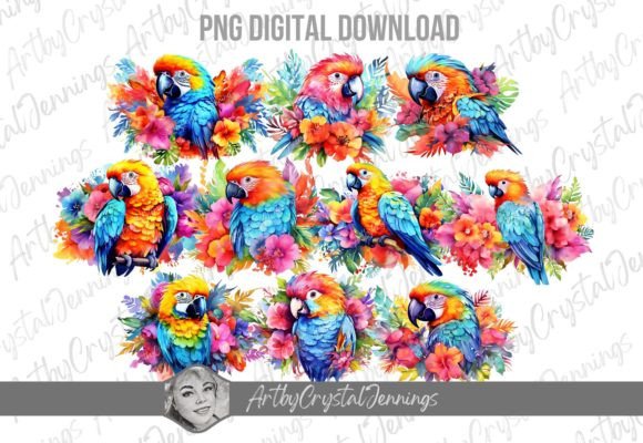 Download Colorful Tropical Parrot Bird Design PNG - Design Collection